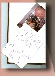 wp6d42575c_02.jpg